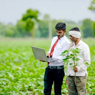 Agriculture consulting